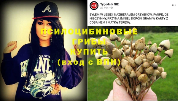 ALPHA-PVP Пролетарск